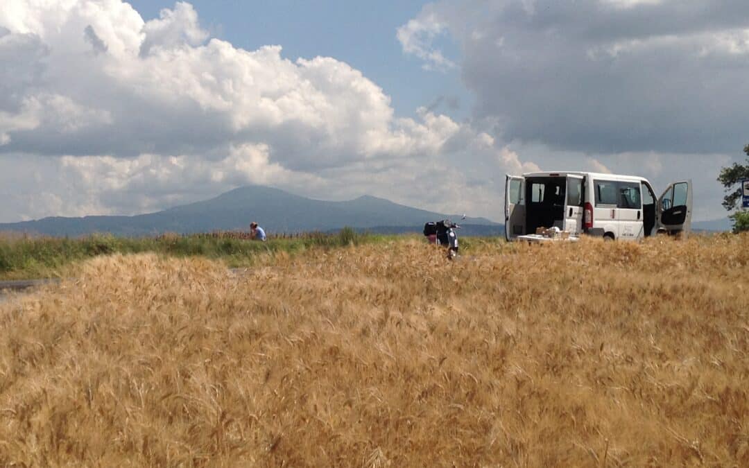 Walk the Arts (icscis inc.) – Nouvelles